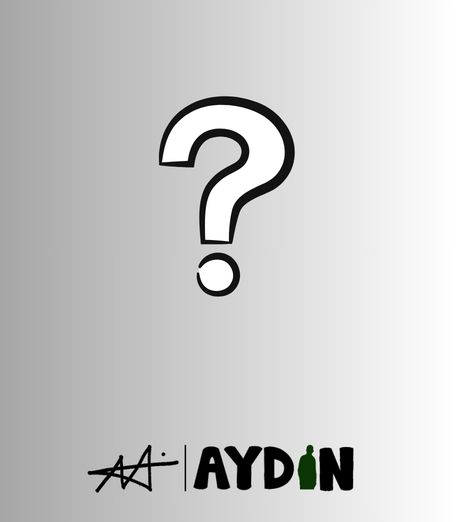 Aydın Yazılım Sık Sorulan Sorular - Web Sitesi Kurma ve CRM Yazılım